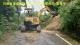 井腳產業道路與鳥松交接處路樹倒塌清理中