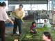 Japan visited the township's wild lotus cleanin...