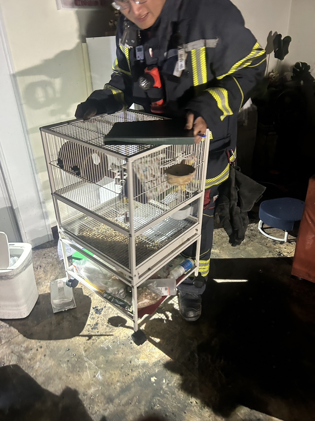 鳥松區深夜住宅火警 警消升雲梯車救出受困民眾與鸚鵡