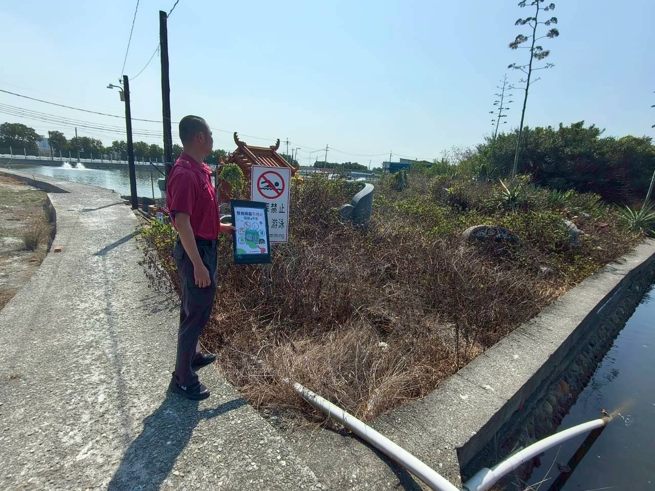 掃墓不燒草、祭祖更環保 「四不一要」，守護山林綠意