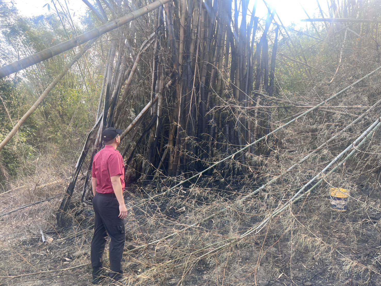 清明掃墓防火超前部署，甲仙消防隊設水源、科技巡查守護山林安全