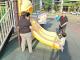 榕樹公園清明宣導2_0