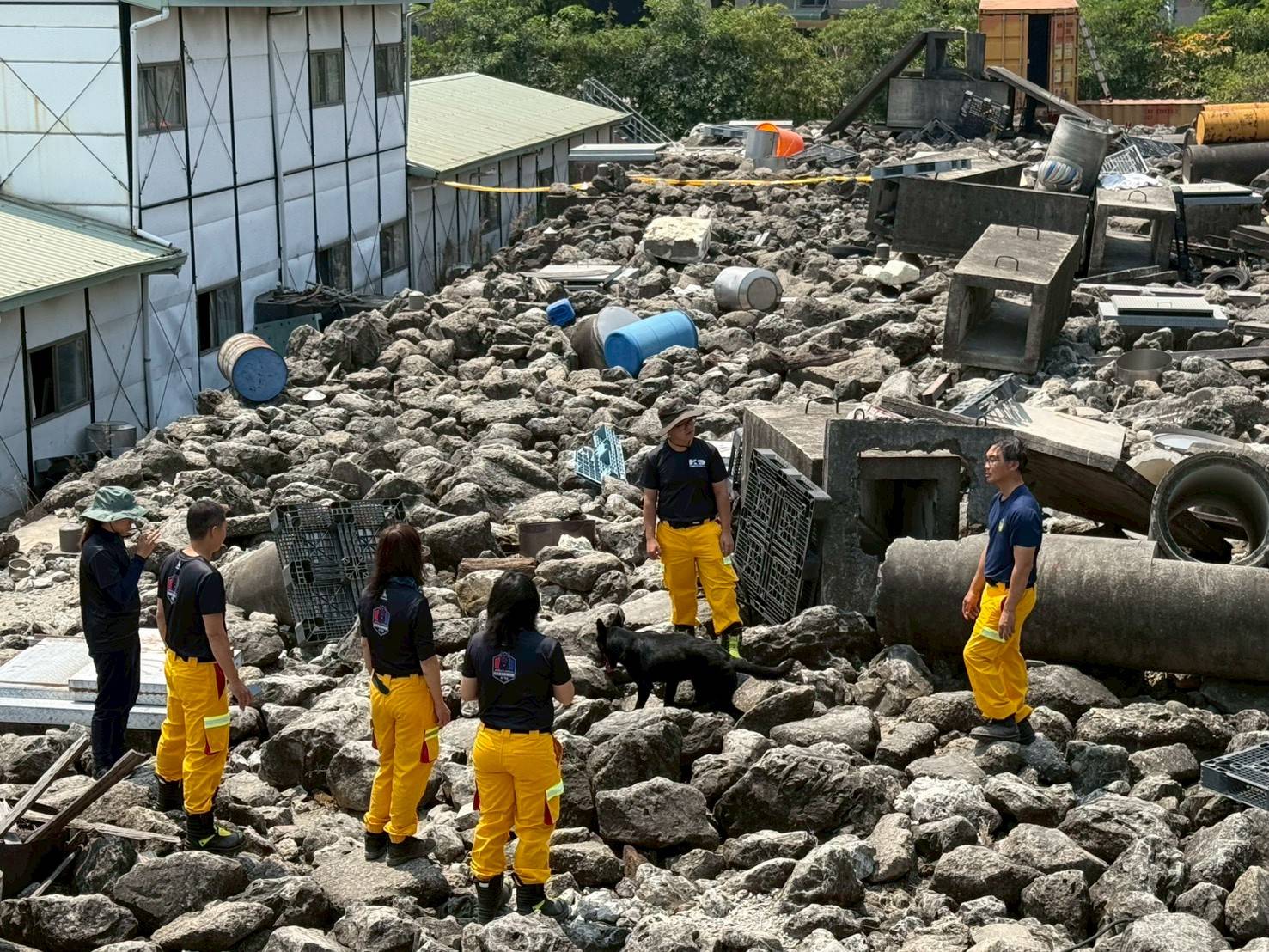 全國首支義消搜救犬隊成立　高雄打造人犬協作救援新典範