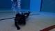 P1010199_0_0