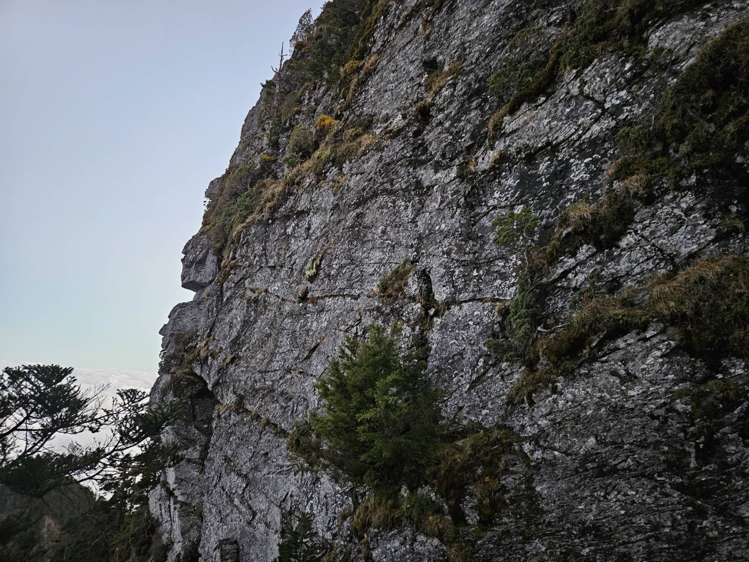 女子誤入岩壁受困　高市府消防局分三梯次22人成功救援
