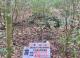 LINE_ALBUM_1130312舊遺址新建檔_240318_9