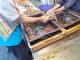 3興達港大發魚市巡查及宣導
