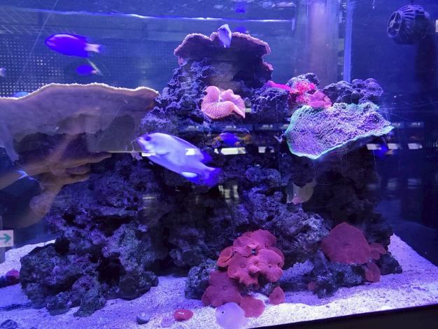 114年10月30日家民輕旅行~農科園區觀賞水族動物展示廳+屏東...