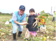 區長陳振坤同家庭親子熱情參與免費體驗拔蘿蔔活動，食農教育從小扎根，寓教於樂