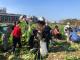 10家庭親子熱情參與拔蘿蔔食農教育親身體驗活動