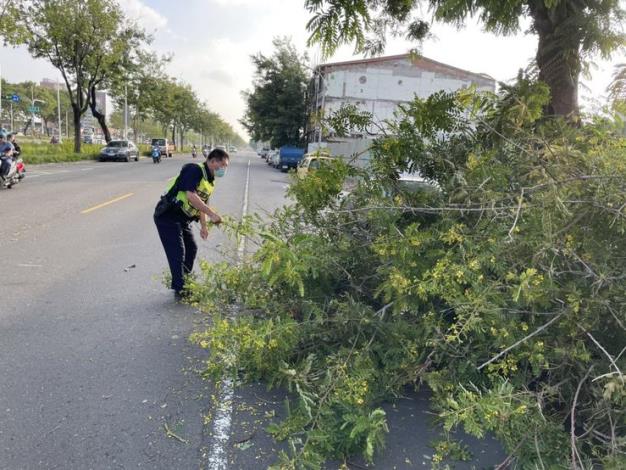 瞬間強風路樹倒塌，幸獲高市警前鎮分局一心所警迅速排除確保民眾用路安全