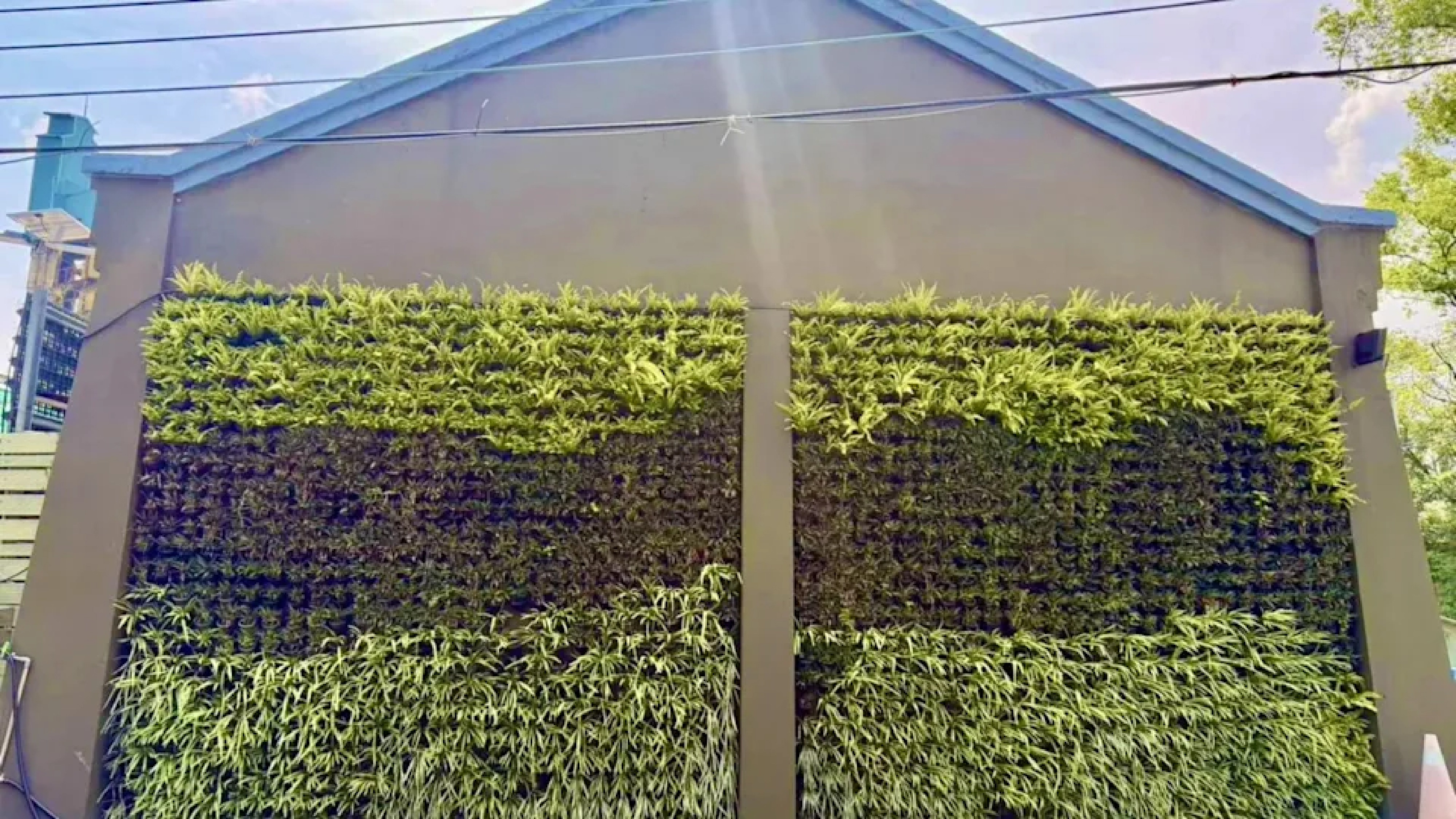 旗山糖廠社區-雨水澆灌牆面植生（圖/高雄市政府環境保護局 提供）