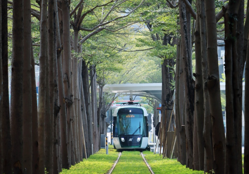高雄輕軌四大軌道骨幹，串連生活脈動。