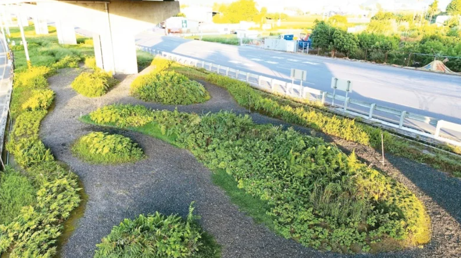 草本復興/台灣原生花草 扮城市減碳尖兵