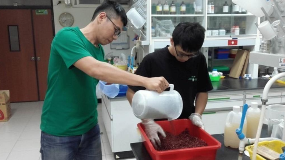 農業新趨勢!微生物肥料助攻永續生產 作物增產又環保