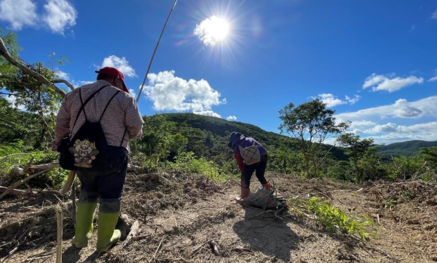 屏東打造森林碳權品牌 推本土碳匯示範場域