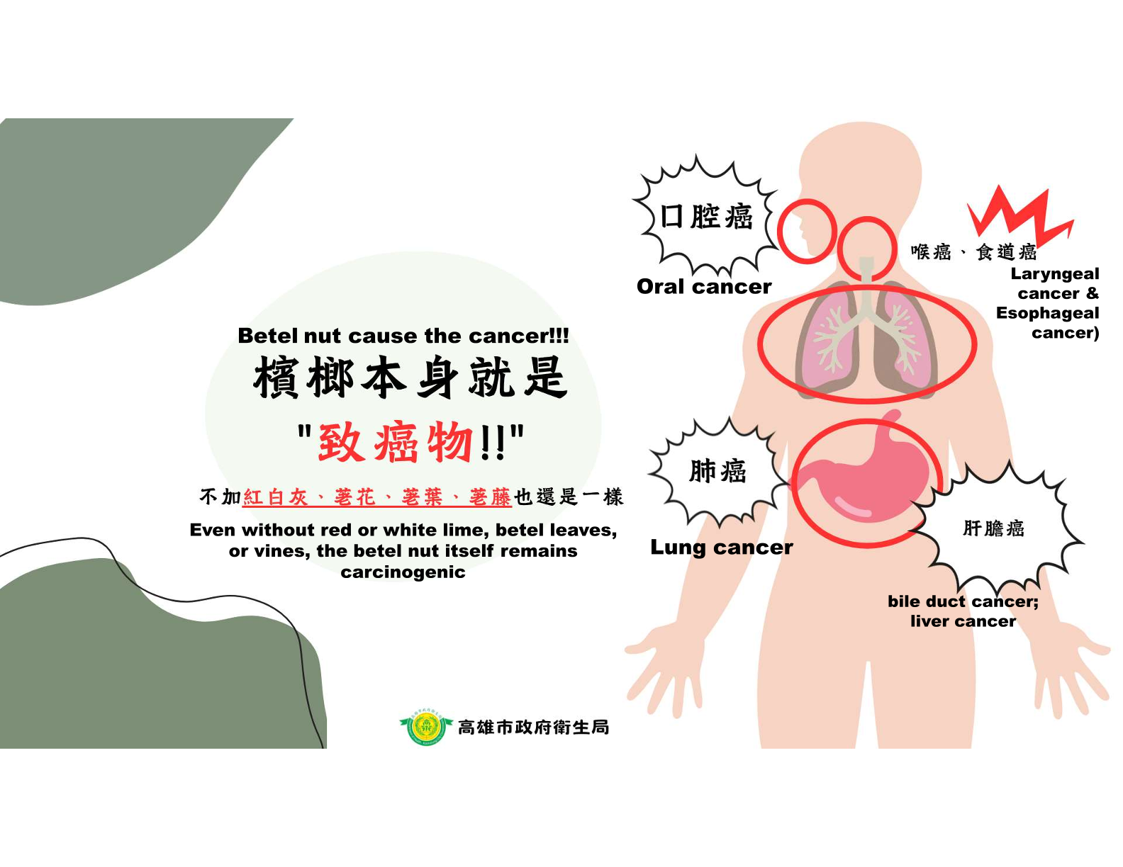 青少年檳榔健康危害文宣-3