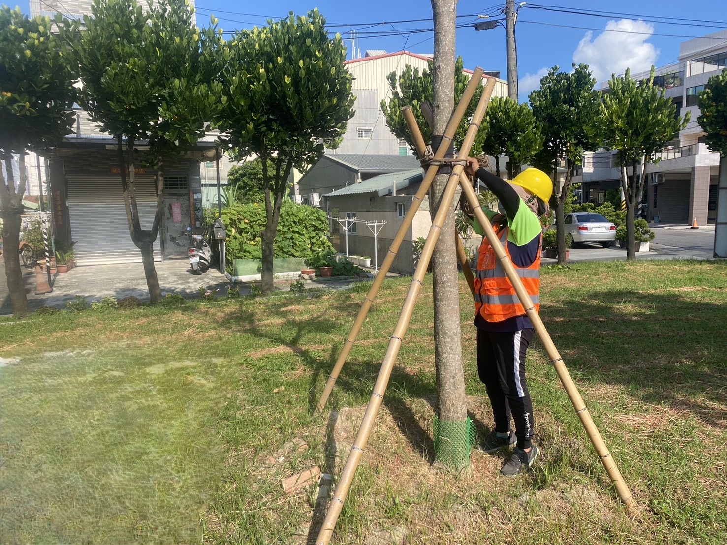 颱風來襲！高市公園處強化護樹防颱準備