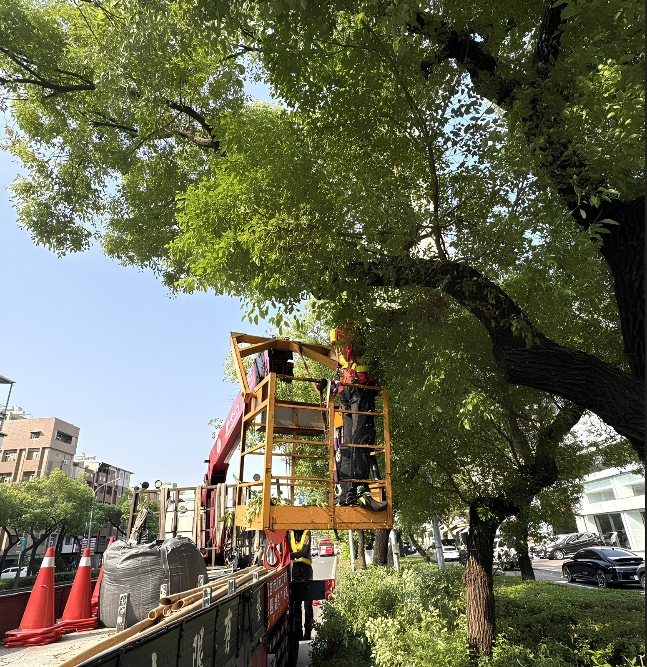 薔琵颱風逼近！　高市公園處全面強化防颱整備　守護市民安全