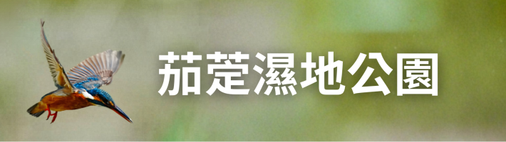 茄萣濕地公園
