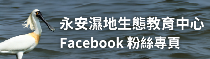 永安濕地生態教育中心臉書粉絲專頁