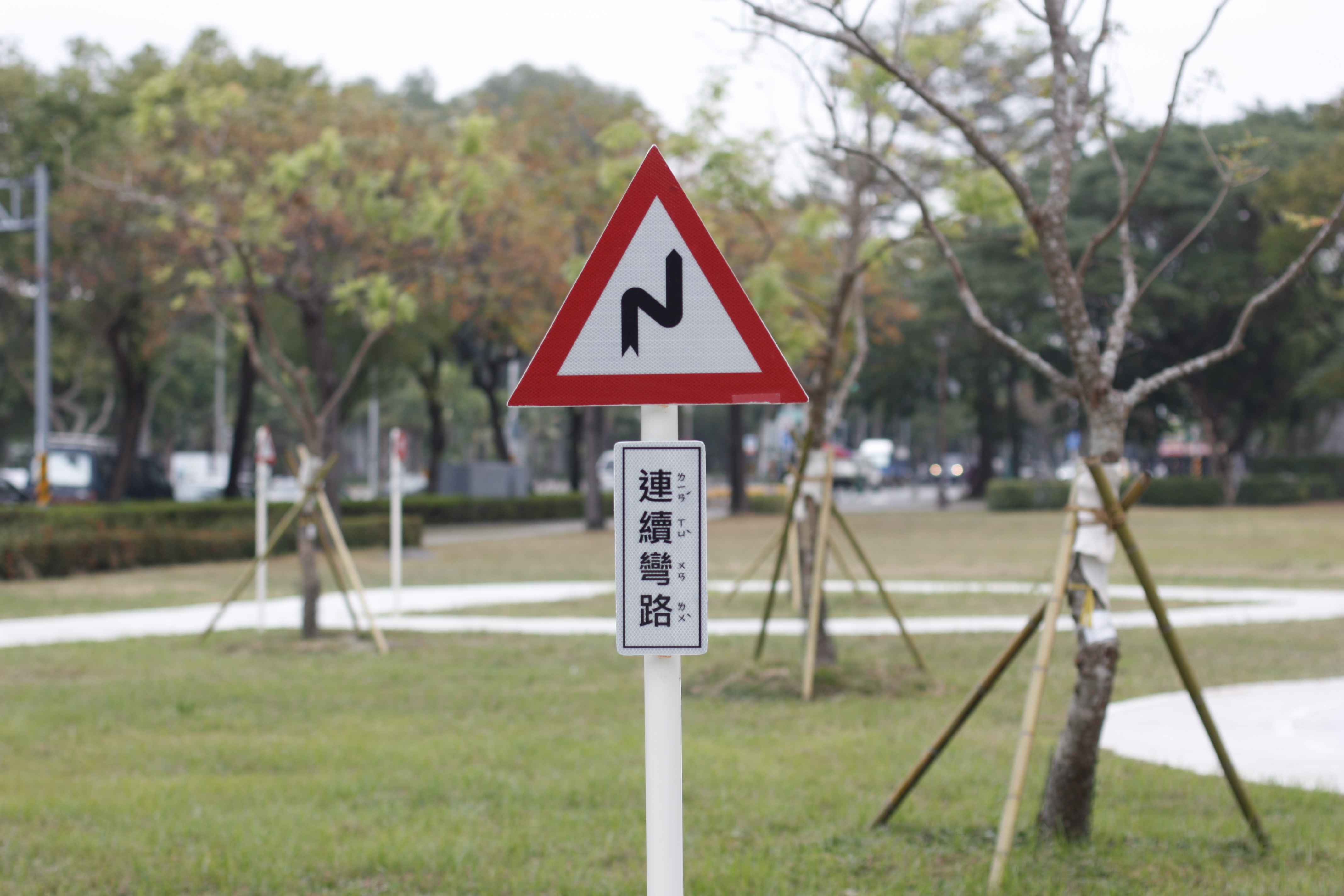 鳳山區新強公園_道路號誌