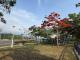 旗山區洪厝公園_公園環境3