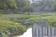 水與綠生物多樣化的檨仔林埤公園3