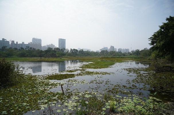 高雄洲仔濕地公園民眾座談 打造環境治理新典範