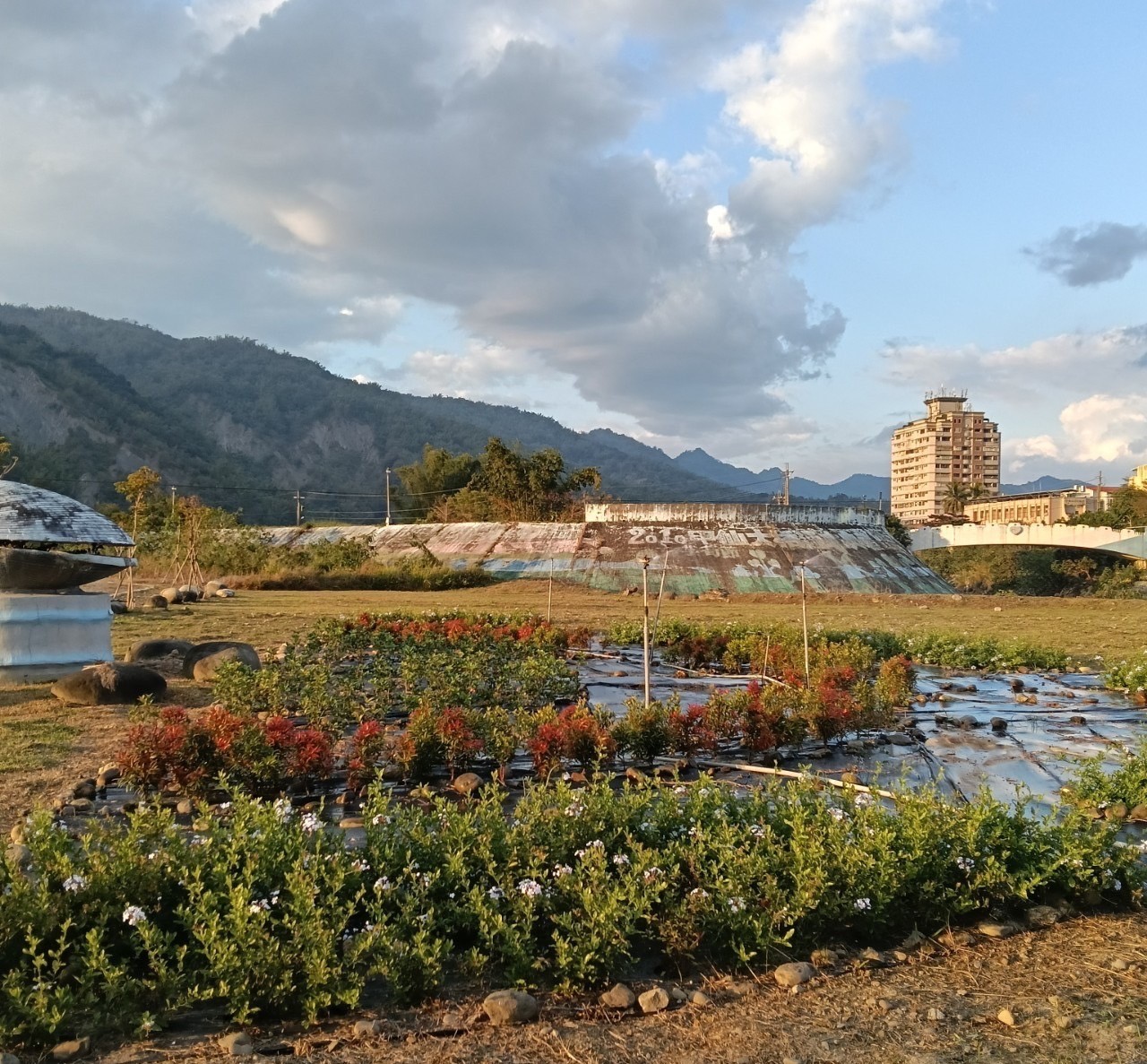 45處城市空間煥新　綠意重塑都市活力