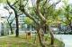 [圖7] 改造工程順利完工後，四維香花公園以全新面貌迎接市民。