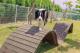 [圖10] 新設的寵物活動區依犬隻體型分為大小犬活動空間。