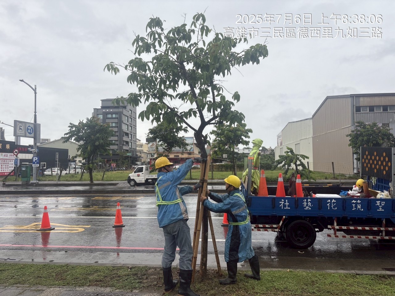 颱風來襲！　高市公園處強化護樹防颱準備
