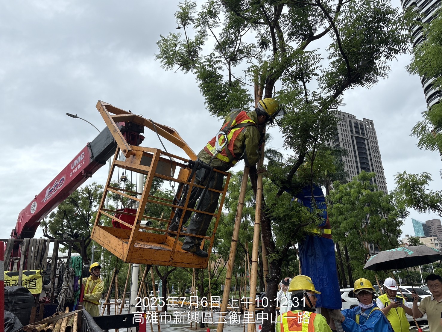 因應丹娜絲颱風來襲 林欽榮副市長加強督導路樹安全