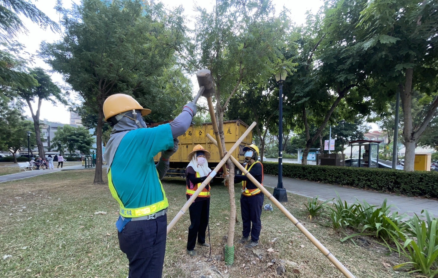 颱風來襲！高市公園處強化護樹防颱準備