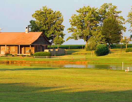 Plains, Georgia, United States