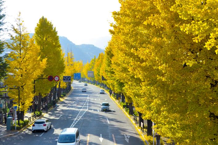 Hachioji, Japan