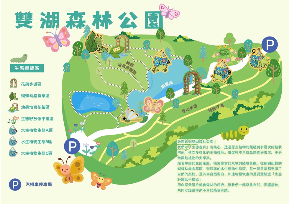 彩蝶滿天飛！ 高雄雙湖森林公園變身都市生態樂園 逾20種蝴蝶現蹤
