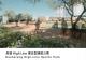 中正運動場改造模擬圖