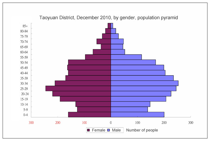 Taoyuan District,December 2010,by gender,population pyramid