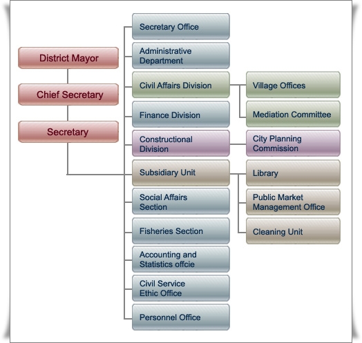 Organization Structure