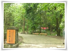 Shuangsi Viviparous Tropical Forest