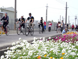 Cycling in Happy flower field