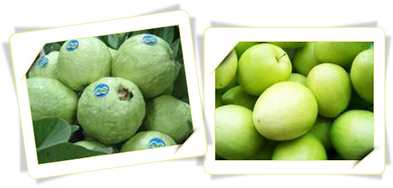 Jujube and guava 