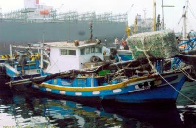 CT1：漁船噸數為5噸以上未滿10噸