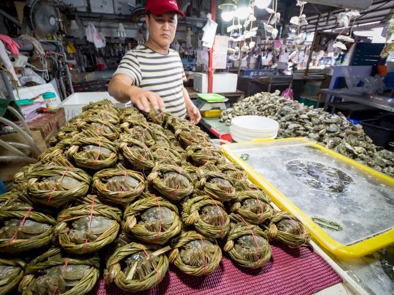 蚵仔寮觀光魚市場各式海鮮